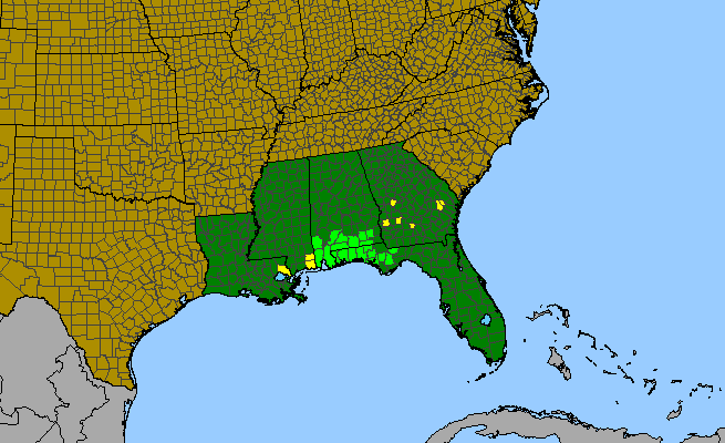 The range of Sarracenia rosea